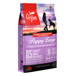 Orijen Puppy Large, pienso sin cereales para perro - Kompymascotas