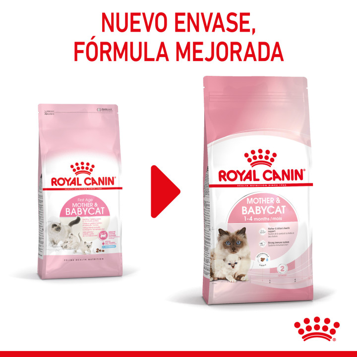 Royal Canin Mother&Babycat pienso para gatito – Kompymascotas