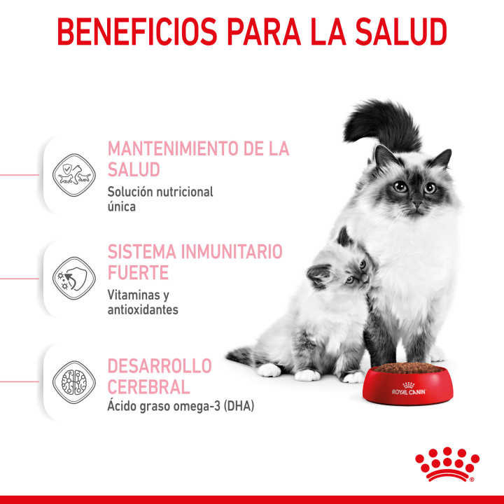 Royal Canin Mother&Babycat pienso para gatito – Kompymascotas