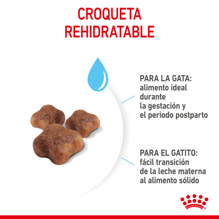 Royal Canin Mother&Babycat pienso para gatito – Kompymascotas