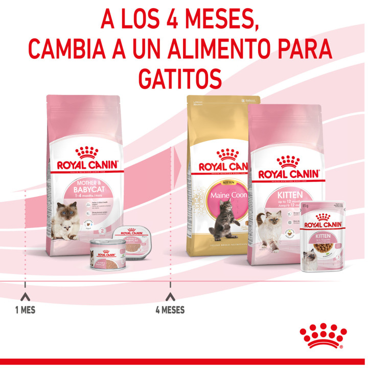 Royal Canin Mother&Babycat pienso para gatito – Kompymascotas