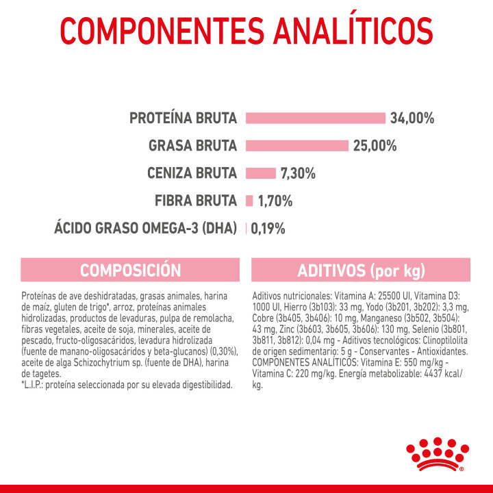 Royal Canin Mother&Babycat pienso para gatito – Kompymascotas