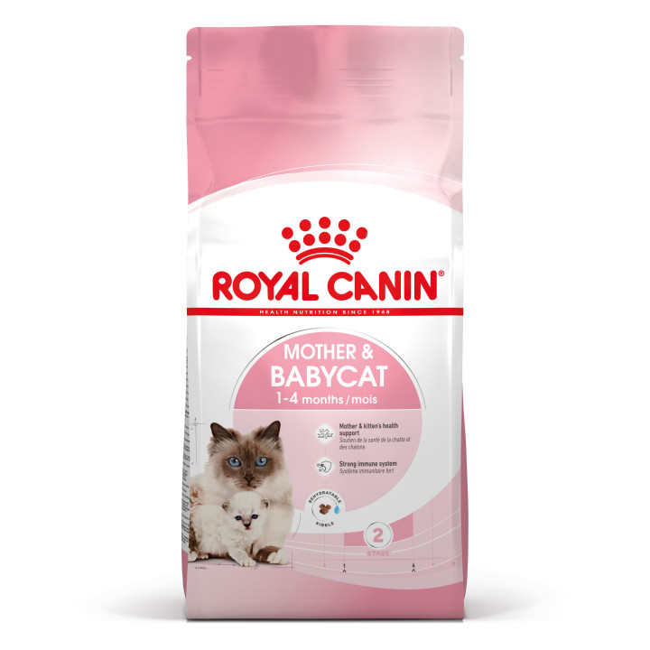 Royal Canin Mother&Babycat pienso para gatito – Kompymascotas