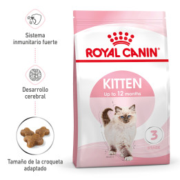 Royal Canin Kitten pienso para gatitos – Kompymascotas