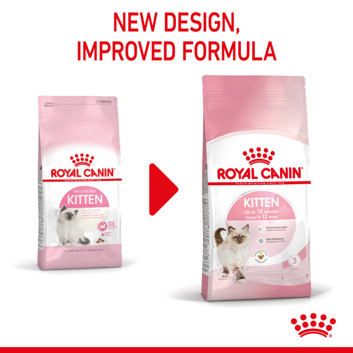 Royal Canin Kitten pienso para gatitos – Kompymascotas