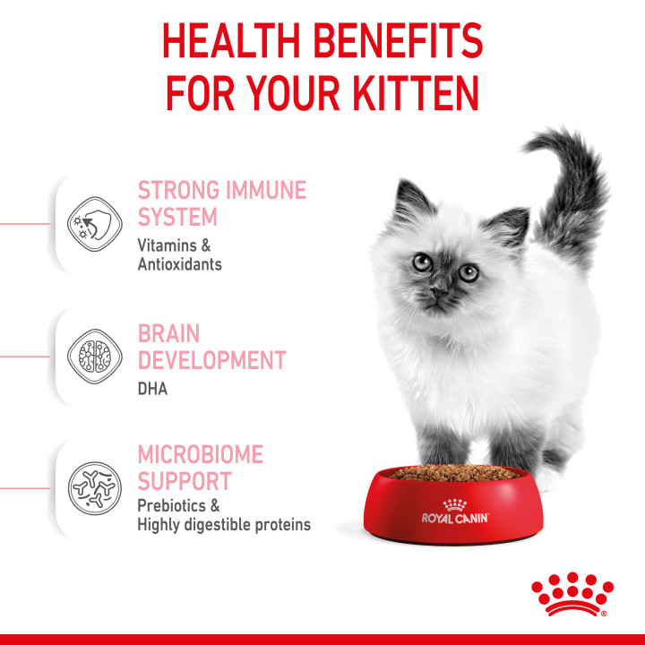 Royal Canin Kitten pienso para gatitos – Kompymascotas