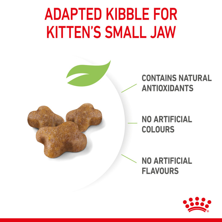 Royal Canin Kitten pienso para gatitos – Kompymascotas