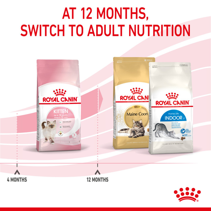 Royal Canin Kitten pienso para gatitos – Kompymascotas
