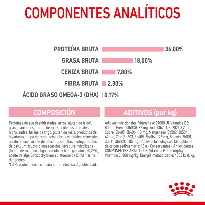 Royal Canin Kitten pienso para gatitos – Kompymascotas