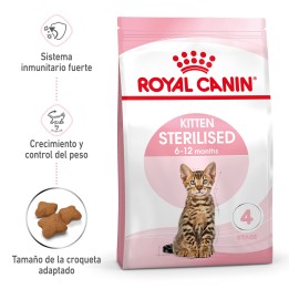 Royal Canin Kitten Sterilised pienso para gatito - Kompymascotas