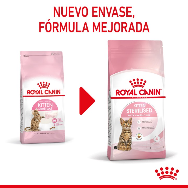 Royal Canin Kitten Sterilised pienso para gatito - Kompymascotas