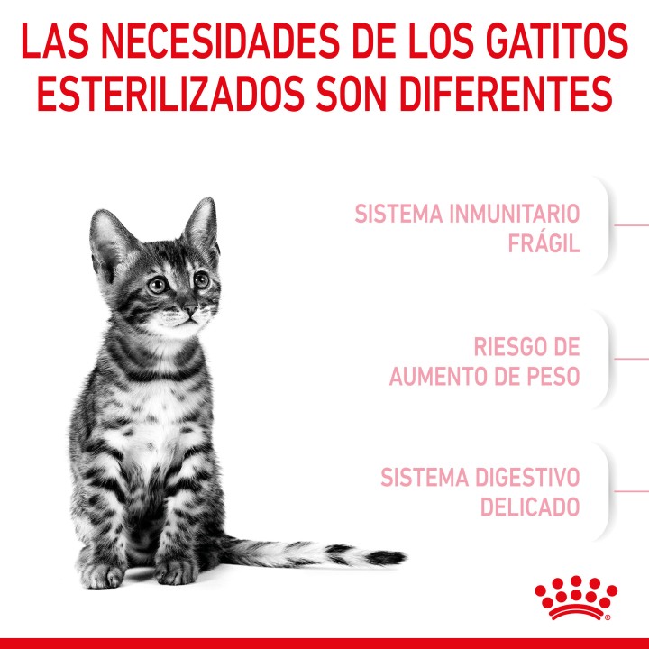 Royal Canin Kitten Sterilised pienso para gatito - Kompymascotas