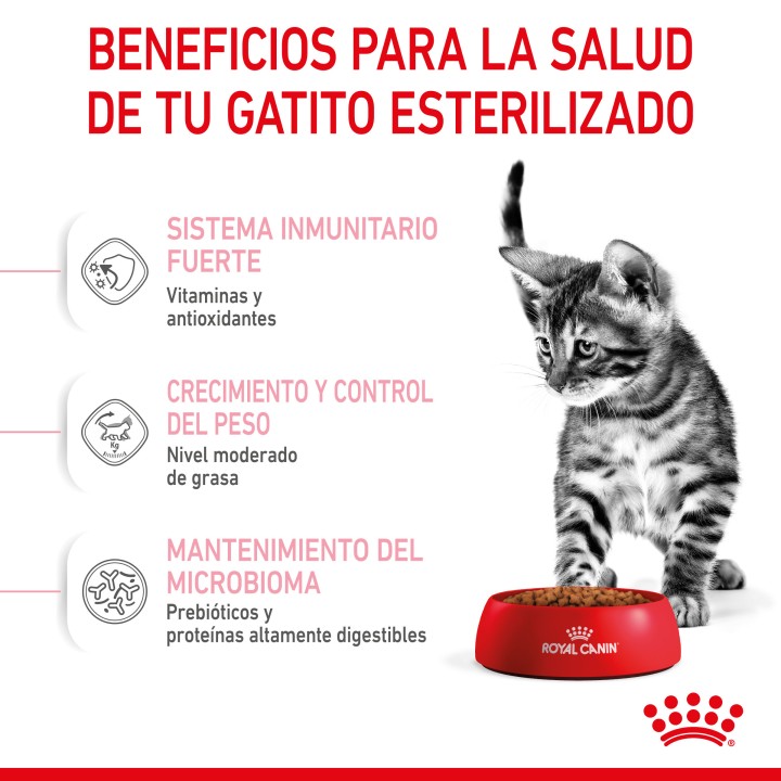 Royal Canin Kitten Sterilised pienso para gatito - Kompymascotas