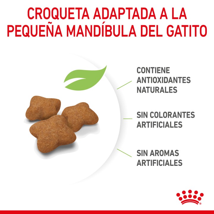 Royal Canin Kitten Sterilised pienso para gatito - Kompymascotas