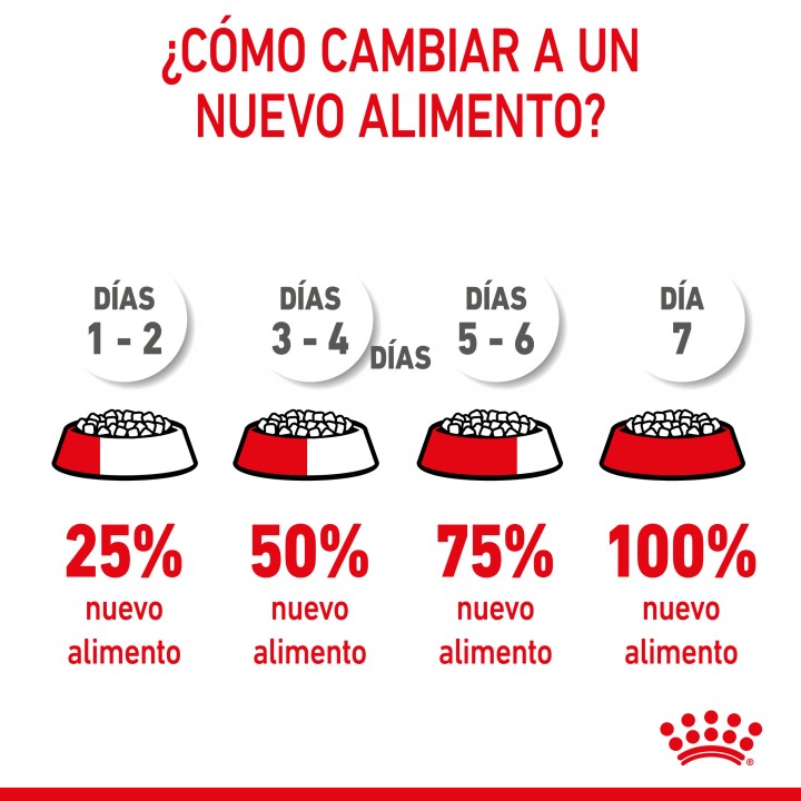 Royal Canin Kitten Sterilised pienso para gatito - Kompymascotas