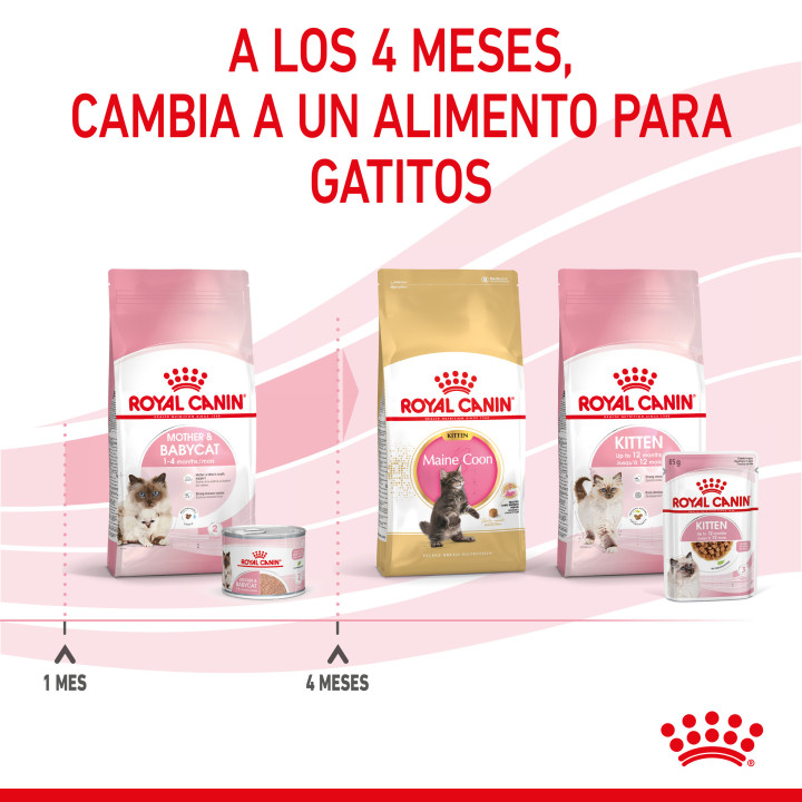 Comida Húmeda Royal Canin Feline Health Nutrition Babycat Instinctive - Kompymascotas