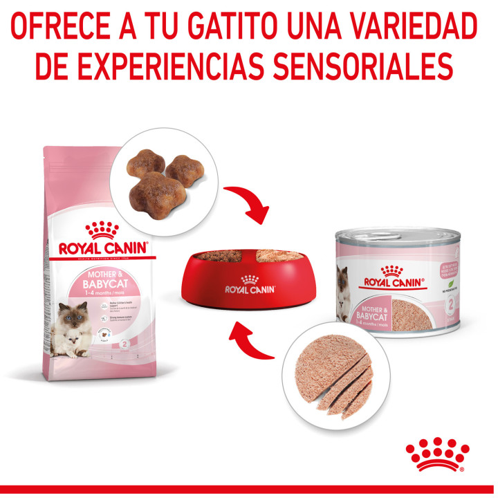 Comida Húmeda Royal Canin Feline Health Nutrition Babycat Instinctive - Kompymascotas