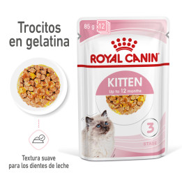 Comida húmeda Royal Canin Kitten (Gelatina) para gatos - Kompymascotas