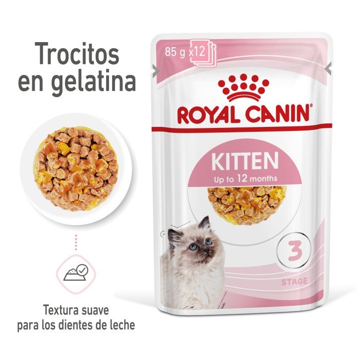 Comida húmeda Royal Canin Kitten (Gelatina) para gatos - Kompymascotas