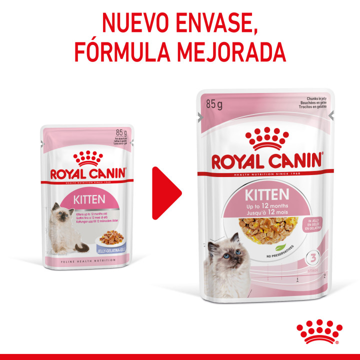 Comida húmeda Royal Canin Kitten (Gelatina) para gatos - Kompymascotas
