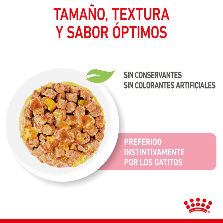 Comida húmeda Royal Canin Kitten (Gelatina) para gatos - Kompymascotas