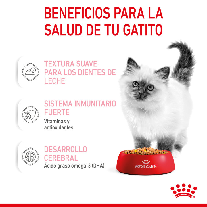Comida húmeda Royal Canin Kitten (Gelatina) para gatos - Kompymascotas