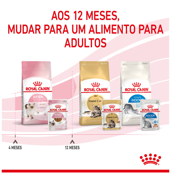 Comida húmeda Royal Canin Kitten (Gelatina) para gatos - Kompymascotas