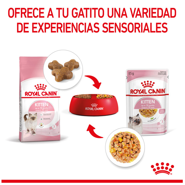 Comida húmeda Royal Canin Kitten (Gelatina) para gatos - Kompymascotas