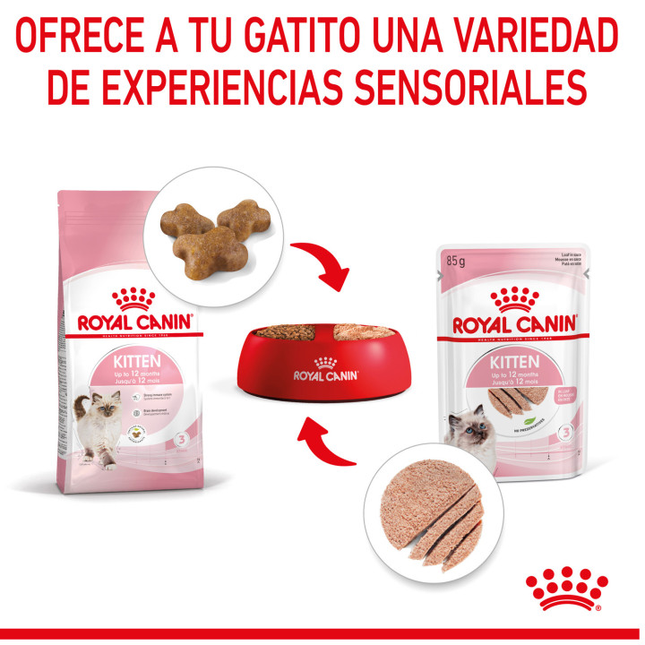 Comida húmeda Royal Canin Kitten (Paté) para gatos - Kompymascotas