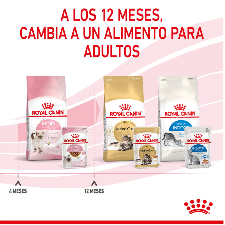 Comida húmeda Royal Canin Kitten (Paté) para gatos - Kompymascotas