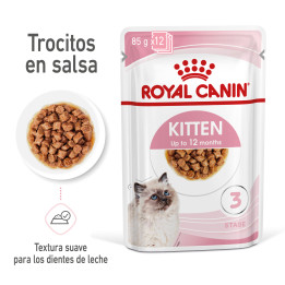Comida Húmeda Royal Canin Feline Health Nutrition para gatos - Kompymascotas