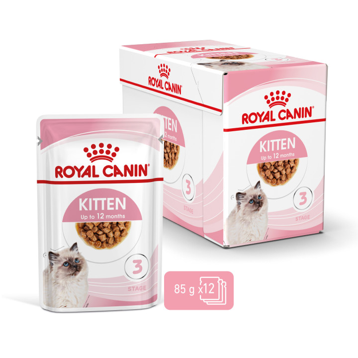 Comida Húmeda Royal Canin Feline Health Nutrition para gatos - Kompymascotas