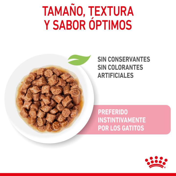 Comida Húmeda Royal Canin Feline Health Nutrition para gatos - Kompymascotas