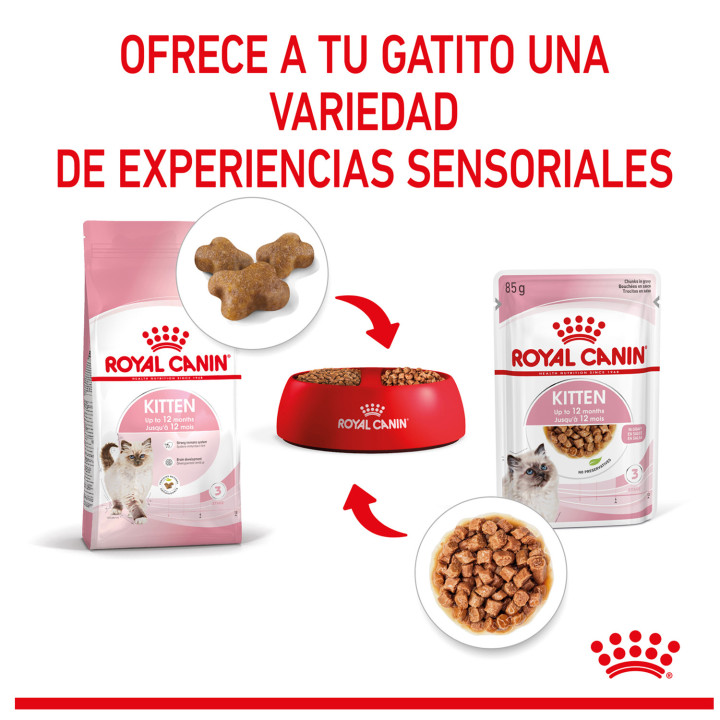 Comida Húmeda Royal Canin Feline Health Nutrition para gatos - Kompymascotas