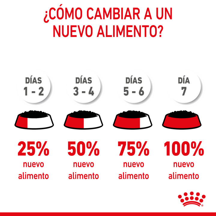 Comida Húmeda Royal Canin Feline Health Nutrition para gatos - Kompymascotas