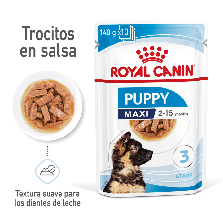 Royal Canin Maxi Puppy comida húmeda para cachorro de razas tamaño grande