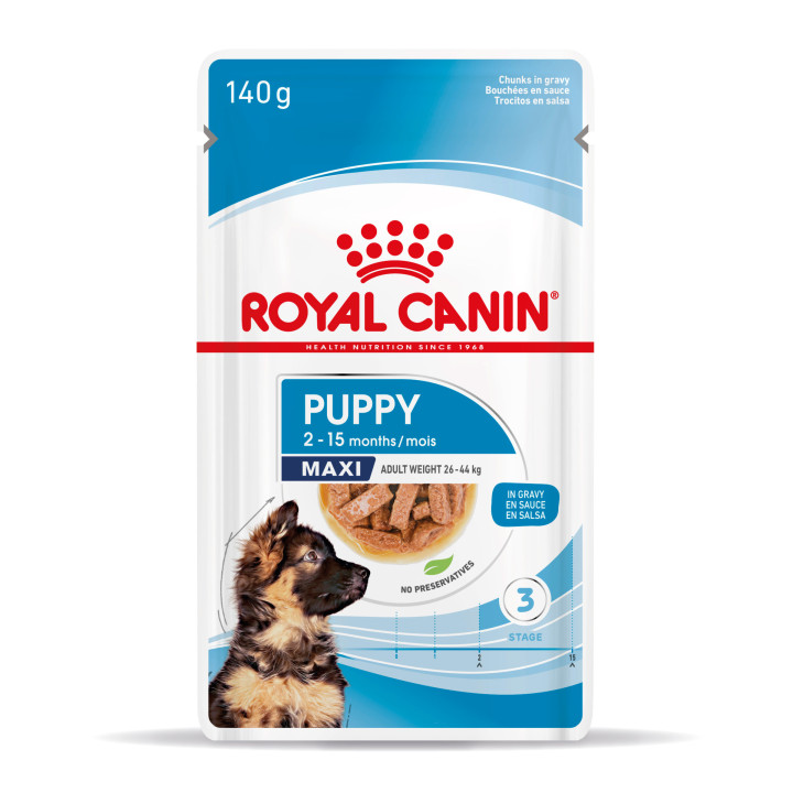 Royal Canin Maxi Puppy comida húmeda para cachorro de razas tamaño grande