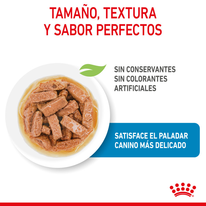 Royal Canin Maxi Puppy comida húmeda para cachorro de razas tamaño grande