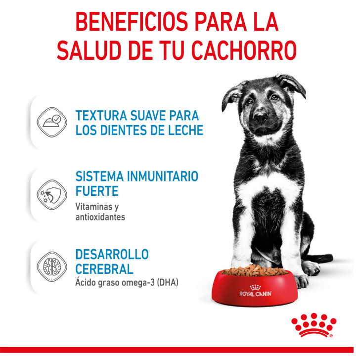 Royal Canin Maxi Puppy comida húmeda para cachorro de razas tamaño grande