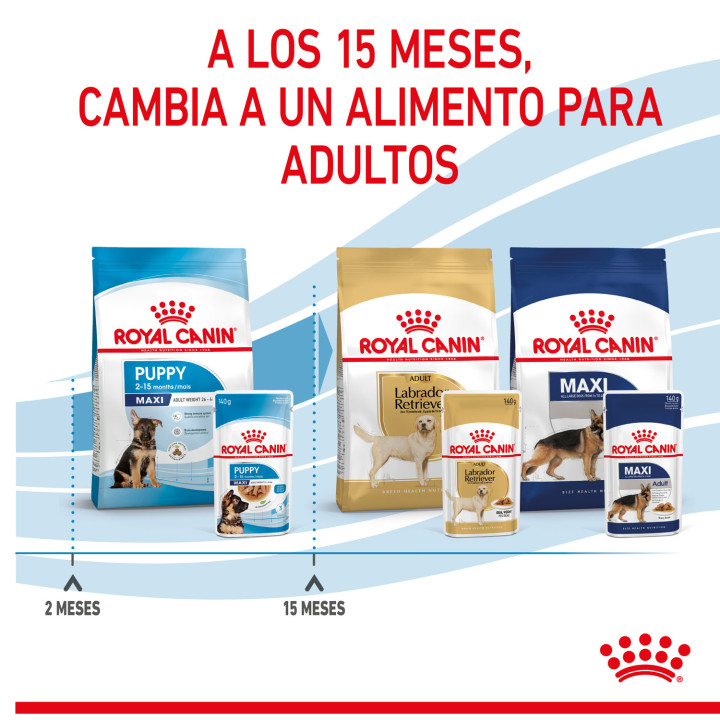 Royal Canin Maxi Puppy comida húmeda para cachorro de razas tamaño grande