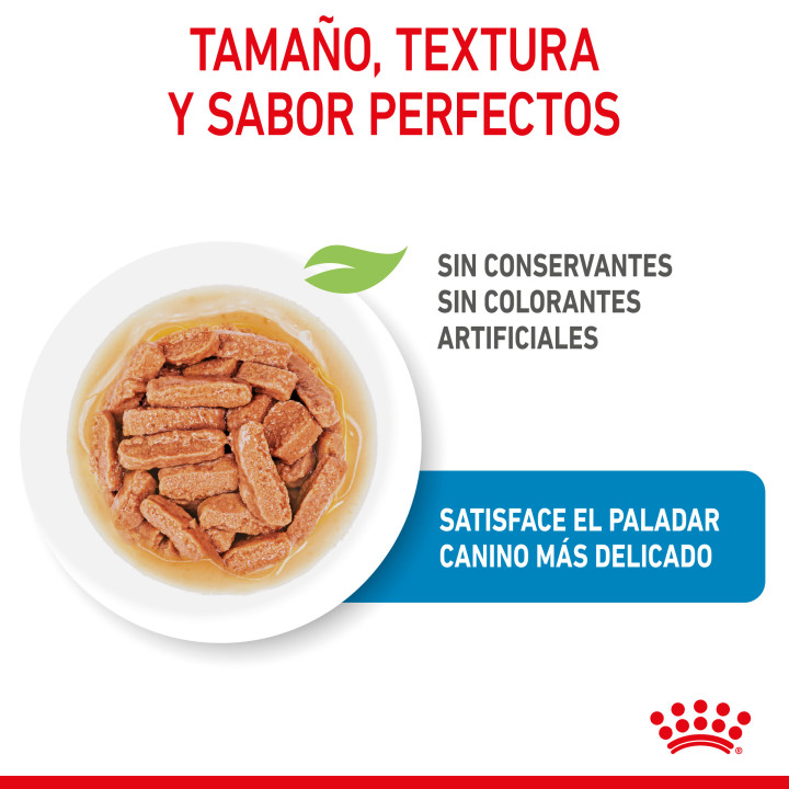 Royal Canin Medium Puppy comida húmeda para cachorro de razas tamaño mediano