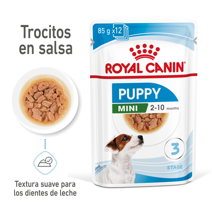 Royal Canin Mini Puppy comida húmeda para cachorro de razas tamaño pequeño