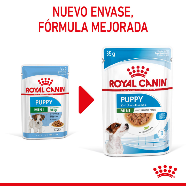 Royal Canin Mini Puppy comida húmeda para cachorro de razas tamaño pequeño