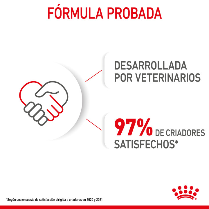 Royal Canin Mini Puppy comida húmeda para cachorro de razas tamaño pequeño