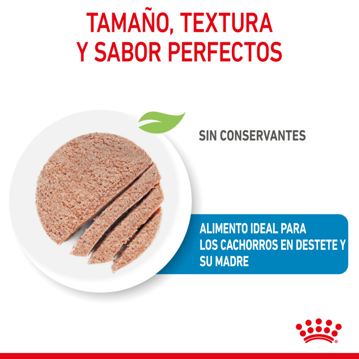 Comida húmeda para perros Royal Canin Health Nutrition Húmedo Starter Mousse - Kompymascotas