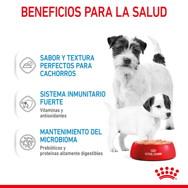 Comida húmeda para perros Royal Canin Health Nutrition Húmedo Starter Mousse - Kompymascotas