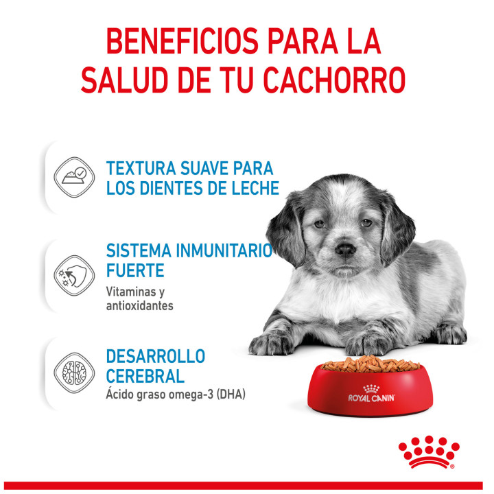 Royal Canin Medium Puppy comida húmeda para cachorro de razas tamaño mediano