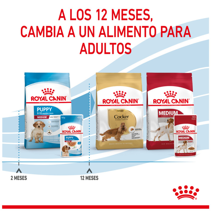 Royal Canin Medium Puppy comida húmeda para cachorro de razas tamaño mediano