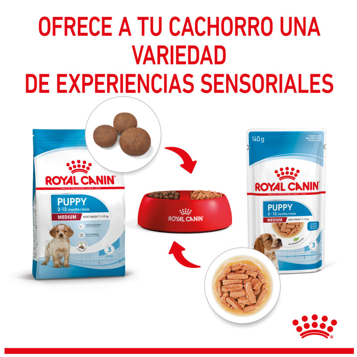 Royal Canin Medium Puppy comida húmeda para cachorro de razas tamaño mediano