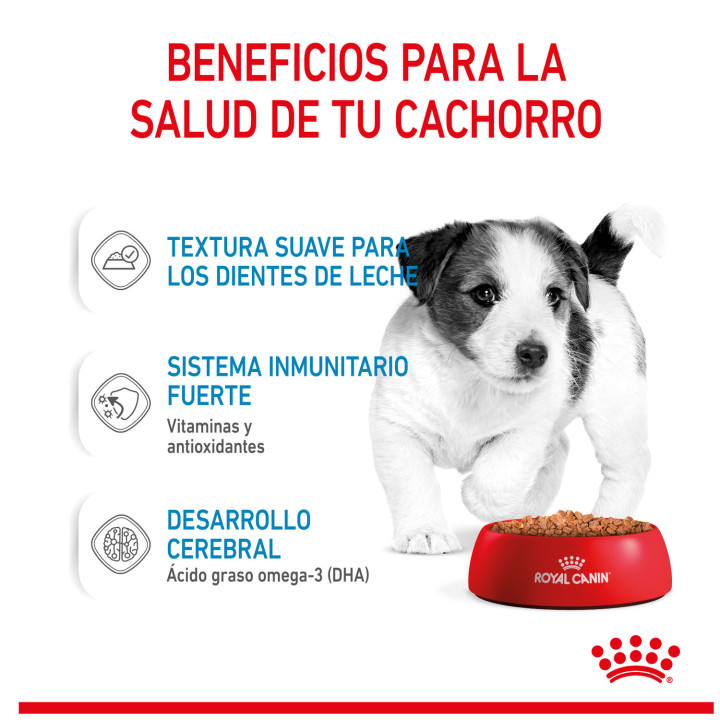 Royal Canin Mini Puppy comida húmeda para cachorro de razas tamaño pequeño